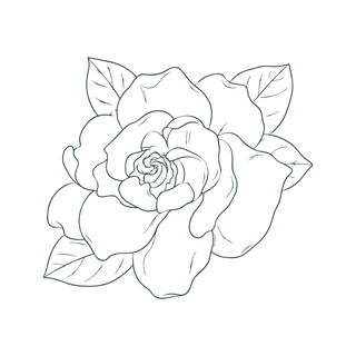 A simple black and white line drawing of a blooming flower with several large petals and three leaves.