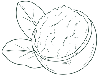 A simple line drawing of a half coconut filled with coconut pulp, with two large leaves behind it.