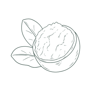 A line drawing of a bowl filled with a creamy substance, placed in front of two large leaves, on a plain background.